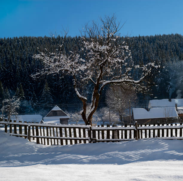 Winter landscape: snow-covered trees. A fence and a frozen ditch in the foreground. Photo was made in the Ooypolder, Nijmegen, The Netherlands