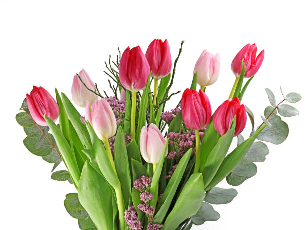 schöner blumenstrauß mit gemischtem rosa und roten tulpen, frisch geschnittenes bouquet isoliert auf weißem hintergrund, nahaufnahme - rose flower shop variation color image stock-fotos und bilder