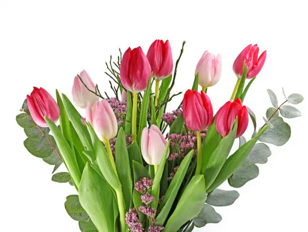 beautiful flower bouquet with mixed rosa an red tulips, fresh cut bouquet isolated on white background, close up.