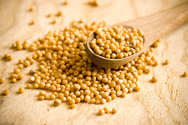 Mustard seeds stock photo