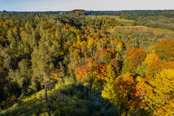 istock Panorama view of Neris river regional park, Lithuania 1370641199