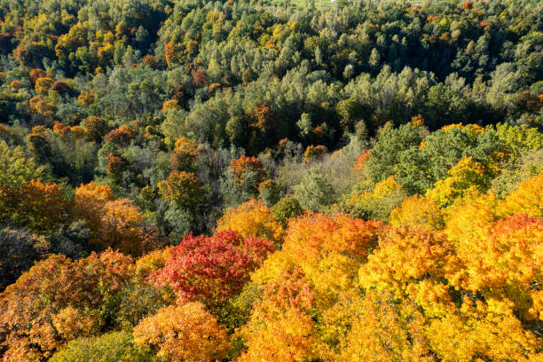 istock Panorama view of Neris river regional park, Lithuania 1370641359