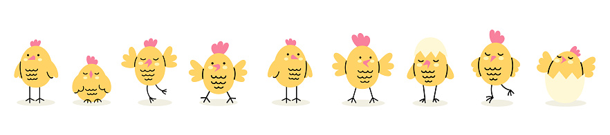 Set of cute yellow chicks. Farm animals. Funny holiday kids characters. Hand drawn vector cute illustration