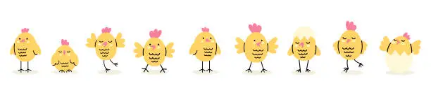 Vector illustration of Set of cute yellow chicks. Farm animals. Funny holiday kids characters. Hand drawn vector cute illustration