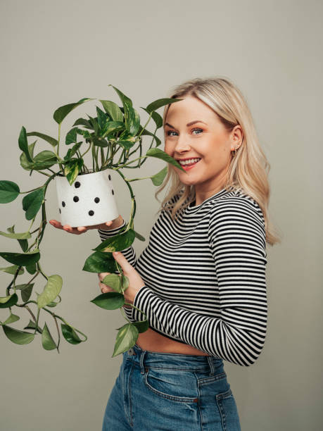 Kobieta z doniczkową rośliną doniczkową casual zdjęcie rośliny w studio – zdjęcie
