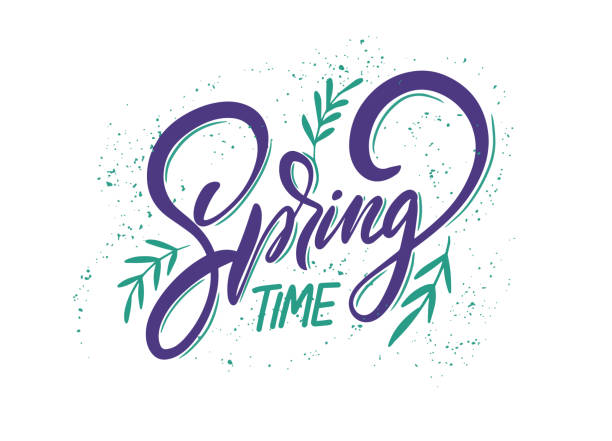 Spring Time. Modern calligraphy poster. Season text. Vector illustration isolated on white background. Spring Time. Modern calligraphy poster. Season text. Vector illustration isolated on white background. Design for banner, poster and t-shirt. first day of spring stock illustrations