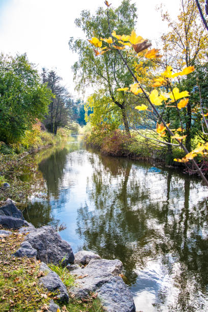 istock slow flowing stream with autumn leaves on both banks 1370649951