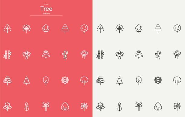 illustrazioni stock, clip art, cartoni animati e icone di tendenza di design delle icone della linea dell'albero - alberato