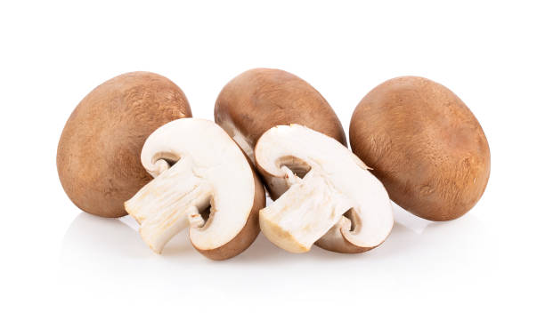 istock Fresh champignon mushrooms isolated on white 1370655186