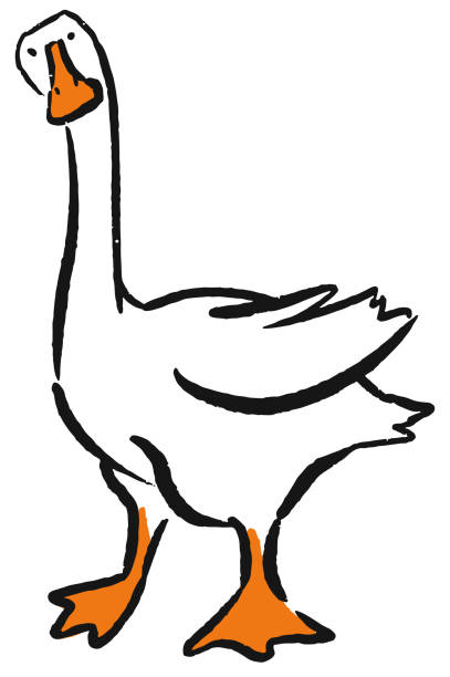 gęsi szkic doodle zabawna postać z kreskówki - duck beak humor drawing stock illustrations