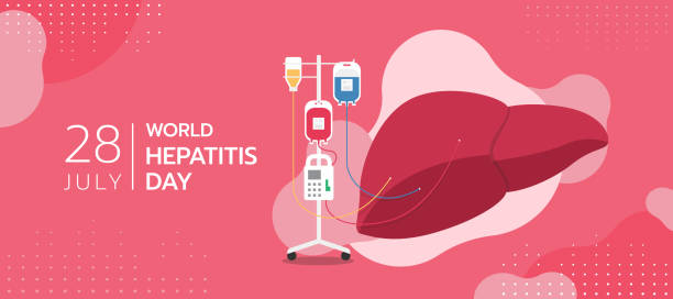 ilustraciones, imágenes clip art, dibujos animados e iconos de stock de día mundial de la hepatitis con donar sangre y solución salina al hígado para tratar la hepatitis en el diseño de vectores de fondo rosa - hepatitis virus