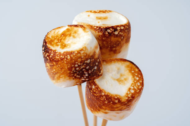 istock Roasted Marshmallow on a stick, isolated on a white background. 1370661613