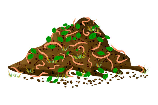 Pile soil with earthworms isolated on white background. Worms and leaves in heap dirt or compost. vector art illustration