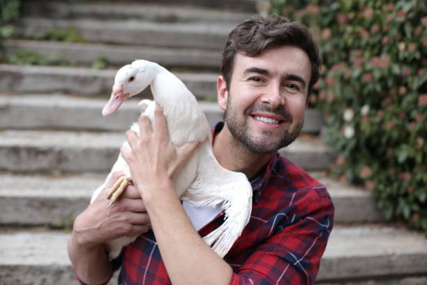 istock Man holding a beautiful white duck 1370671519