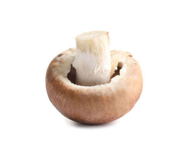 istock Fresh whole champignon mushroom isolated on white 1370672624