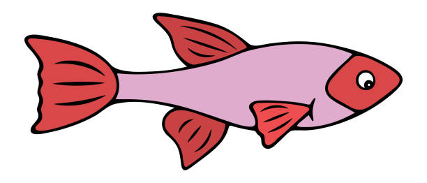 Pink Fish In Fishbowl Illustrations, Royalty-Free Vector Graphics & Clip  Art - iStock