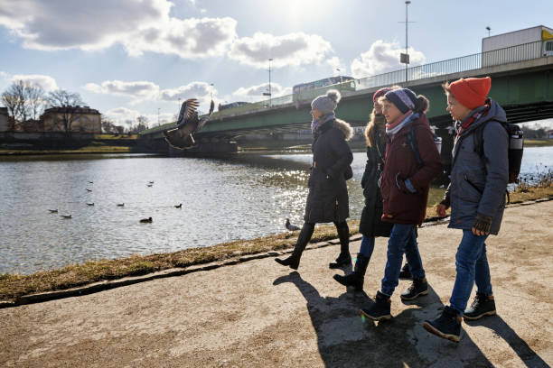 Family sightseeing city on sunny but cold winter day. Family sightseeing city of Cracow, Poland on an off-season winter day. Kids are walking on the boulevards of the river Vistula and observing the water birds in the river.
Shot with Canon R5. pigeon family stock pictures, royalty-free photos & images