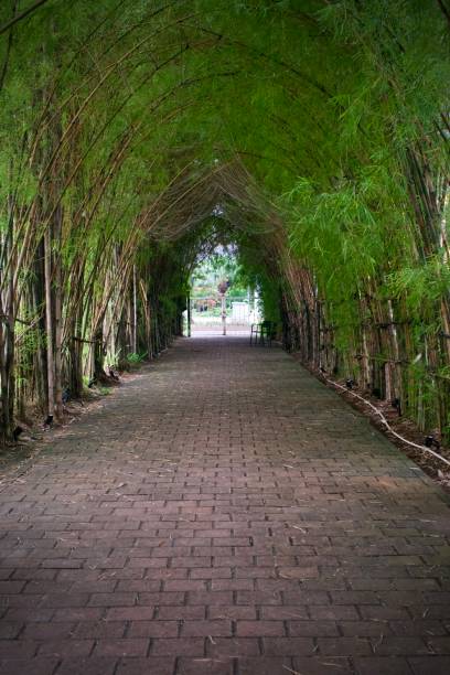 istock Tunnel Green Road 1370677171