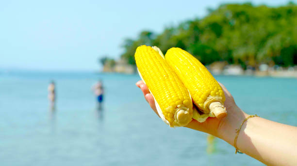 istock Sea in the background and corn. 1370680122