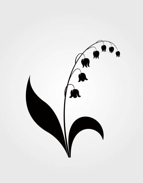 illustrations, cliparts, dessins animés et icônes de fleur de muguet vecteur silhouette noire - muguet