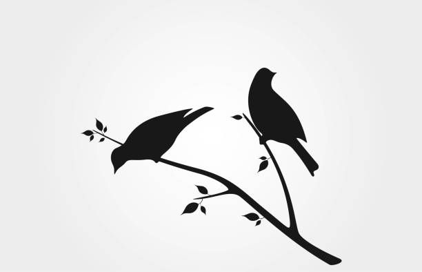 birds on branch with leaves black silhouette. spring nature design element birds on branch with leaves black silhouette. spring nature design element. isolated vector wildlife image starling stock illustrations