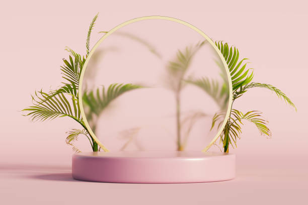 istock Product mockup pedestal 3d rendering 1370682101