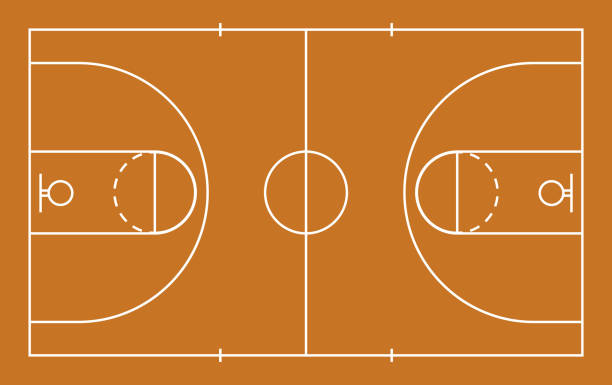 basketballplatz. basketballplatzboden mit weißen linien. mockup des basketballfeldes. textur für sportgymnastik. draufsicht auf parkett für wild. vektor - basketball hoop illustrations stock-grafiken, -clipart, -cartoons und -symbole