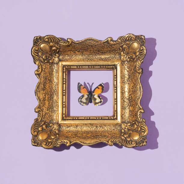 summertime. summer concept with bright butterflies. copy space