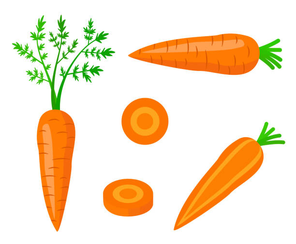 ilustraciones, imágenes clip art, dibujos animados e iconos de stock de zanahoria fresca con hoja en estilo cartoon. vector entero, mitad y partes zanahoria dulce aislada sobre fondo blanco. - carrot