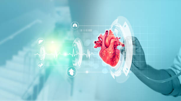 istock Cardiologist listens to the heart on digital technology background 1370689277