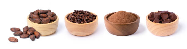Set of cocoa beans, cocoa nibs and chocolate powder Set of cocoa beans, cocoa nibs and chocolate powder in wooden bowl isolated on white background. cacao nib stock pictures, royalty-free photos & images