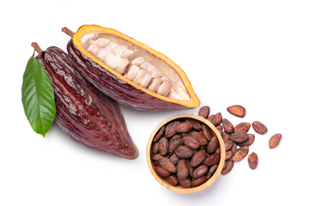 istock cocoa fruit with dry cocoa beans 1370691747