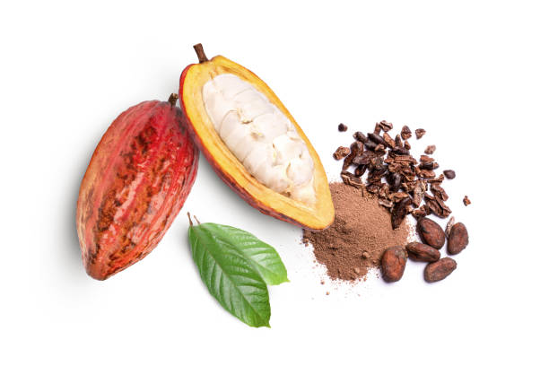 istock Red cocoa fruit with dried cocoa beans isolated on white background. 1370691782