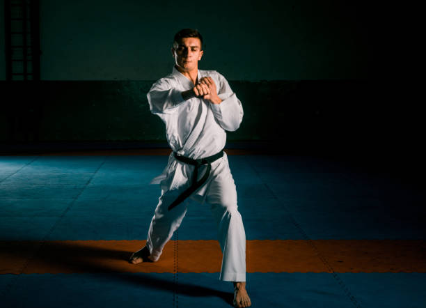 istock An image of a taekwondo martial arts master 1370691893