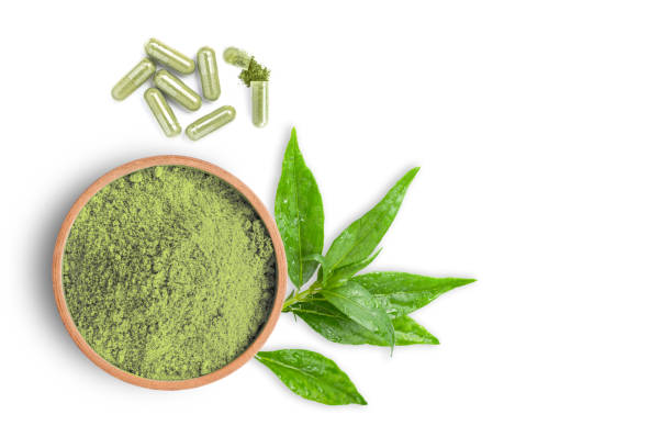 Andrographis paniculata leaf and powder herbal capsules