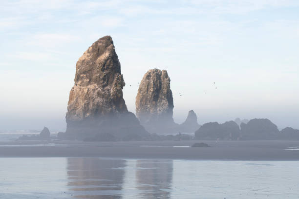 Foggy morning at Cannon Beach, Oregon, USA