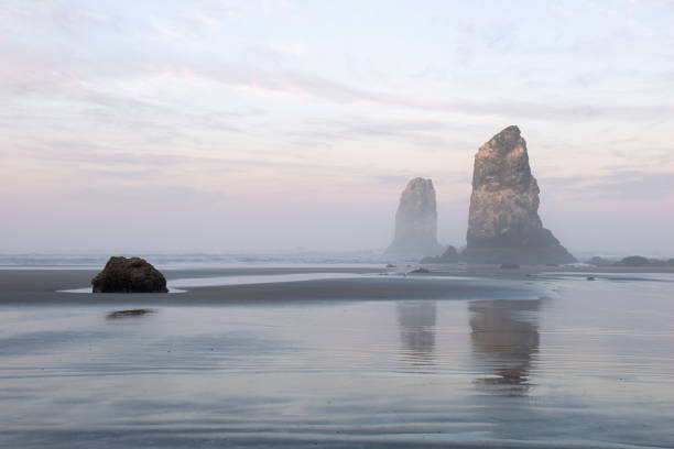 Foggy morning at Cannon Beach, Oregon, USA