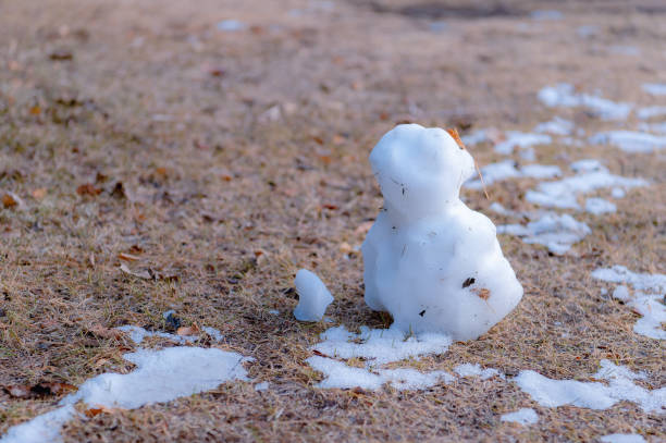 istock Snowmen built in a large park, Tokyo. 1370698356