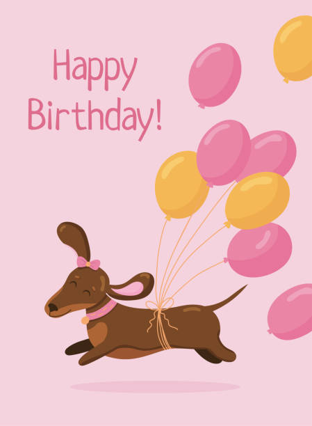 ilustraciones, imágenes clip art, dibujos animados e iconos de stock de plantilla de tarjeta de cumpleaños de felicitación. lindo perro salchicha corre en estado de ánimo enamorado con globos aerostáticos aislados sobre fondo rosa. - birthday card dog birthday animal