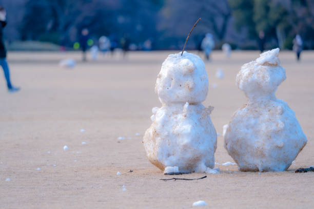 Snowmen built in a large park, Tokyo.