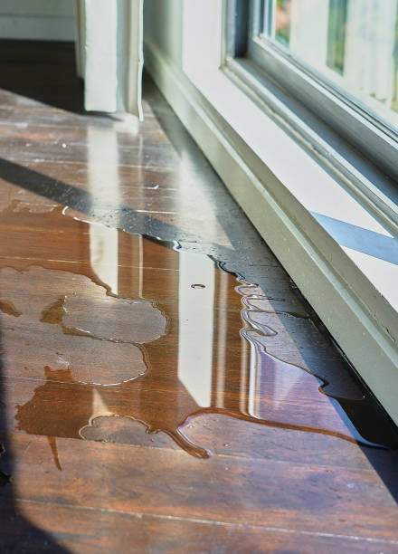 istock Water leaking and flooded on wood parquet floor. 1370699304