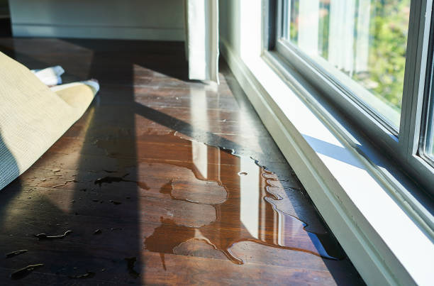 istock Water leaking and flooded on wood parquet floor. 1370699308