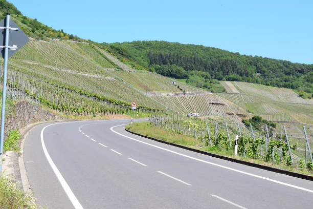istock Mosel valley road at spring green vineyards 1370700843