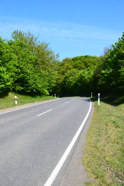 istock rural road into the spring forest 1370701522