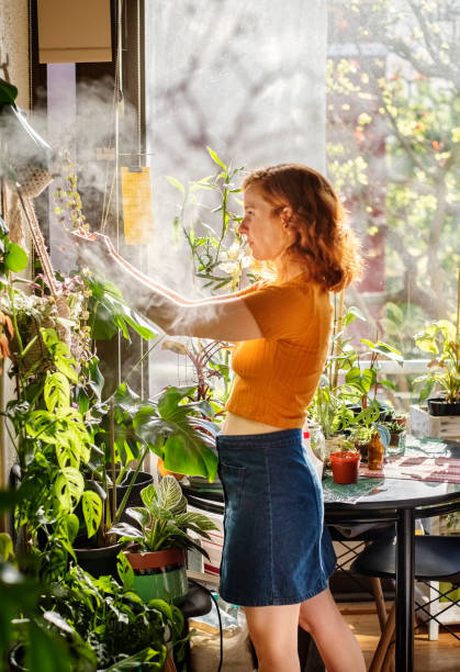 istock Woman examining plants growing her small nursery 1370703063