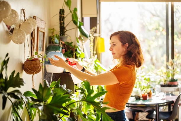 Young woman taking care of her plants Caucasian woman caring and watering the plants with spray bottle in the garden at home green fingers stock pictures, royalty-free photos & images