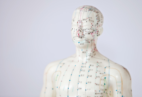 Acupuncture model with chinese