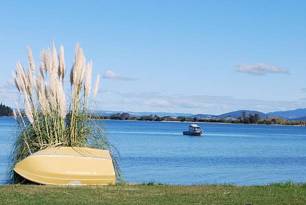 tapu 베이 전망, kaiteriteri, 태즈먼, new zealand - powder blue viewpoint south island new zealand new zealand 뉴스 사진 이미지