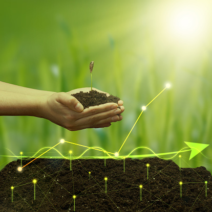 a female hand holds a handful of earth with a young green seedling of a plant against the background of a holographic graph with growing indicators. The concept of high profitability, business growth