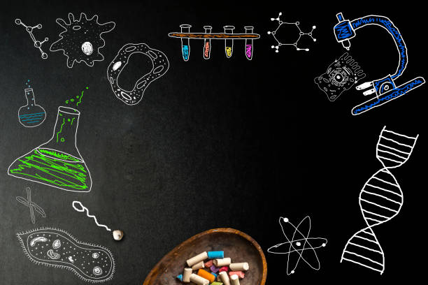 Biology sketches on school board. Fun hand drawn biology sketches on a black board and chalk with blank space for text